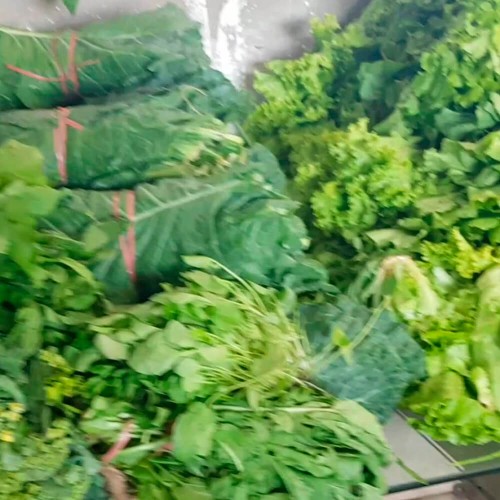 Verduras Diversas