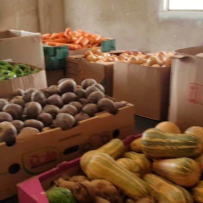 Verduras Diversas